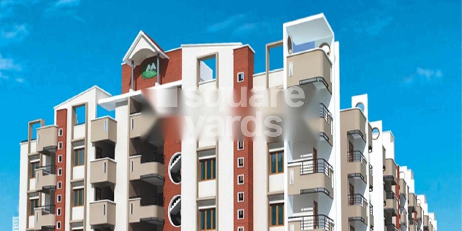 Martins Daisy Residency