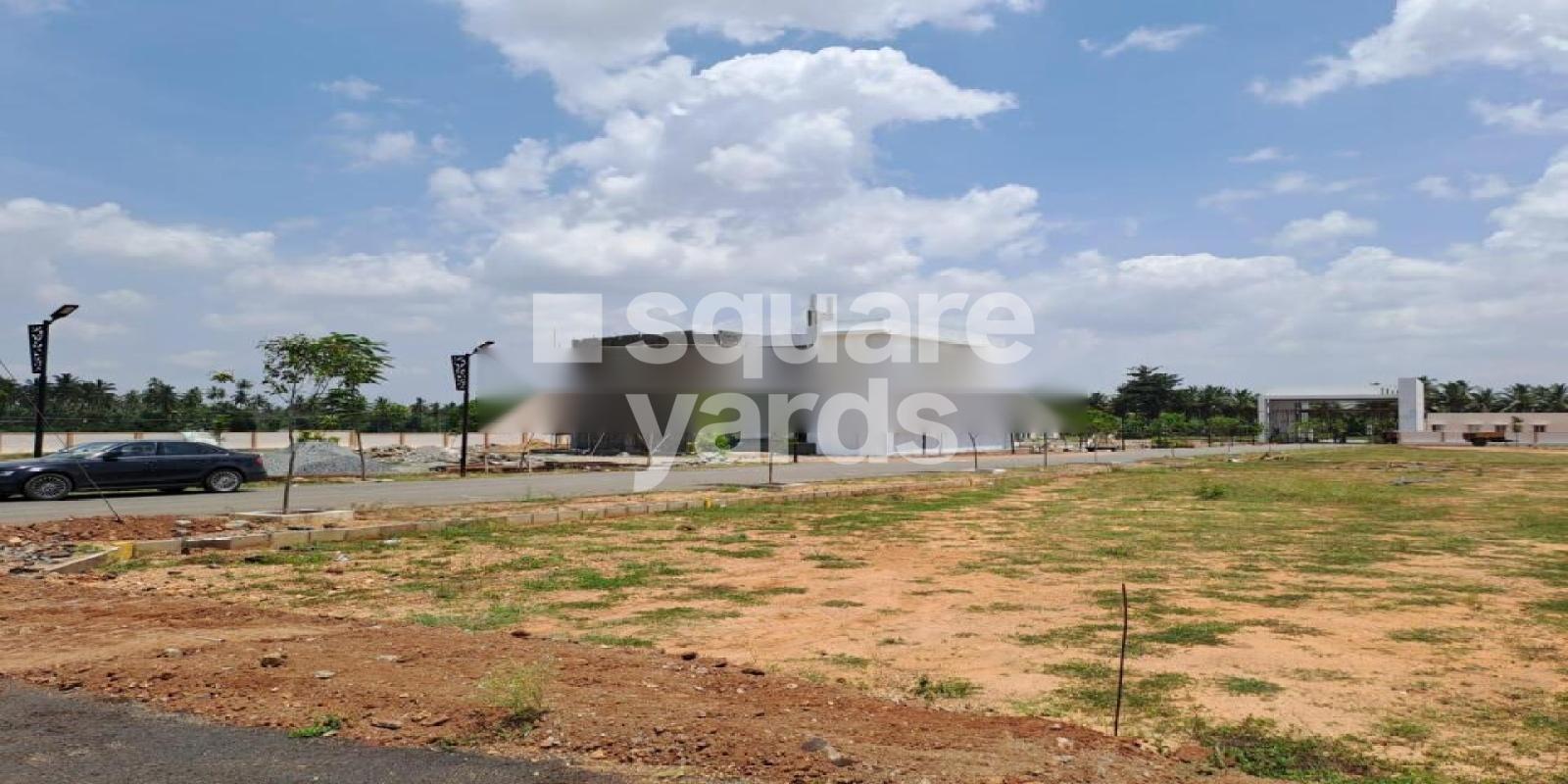 Mayons Grande Ellora