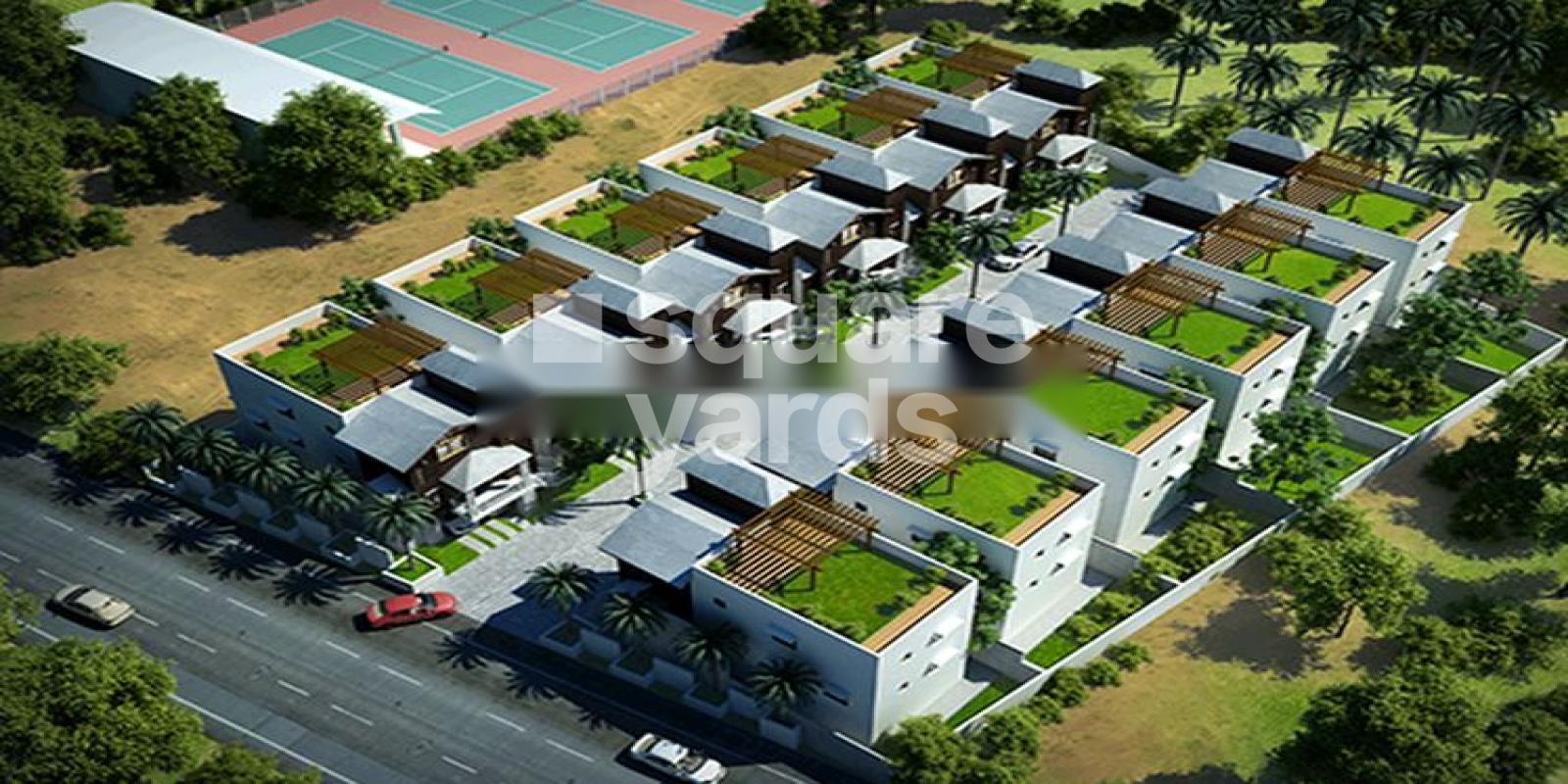 Norweez Tameva Perks