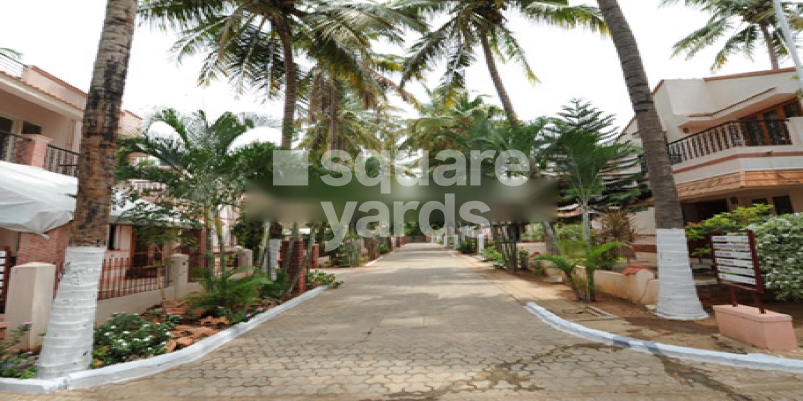 Parsn Palm Legend