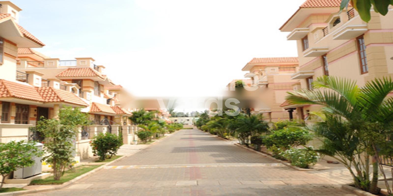 Parsns Palm Gazebo Featured Image