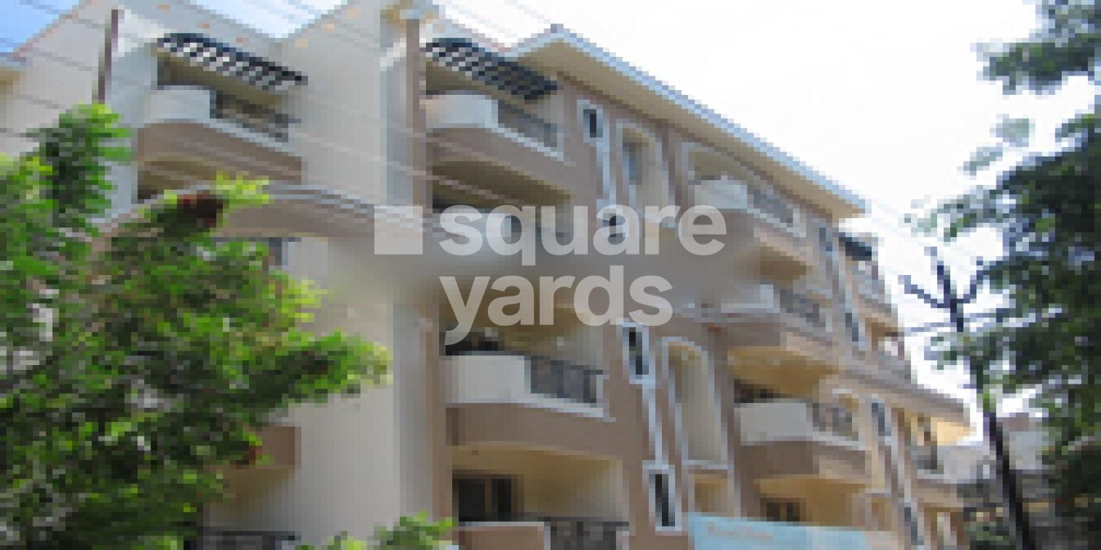 Pinnacle Platinum Featured Image