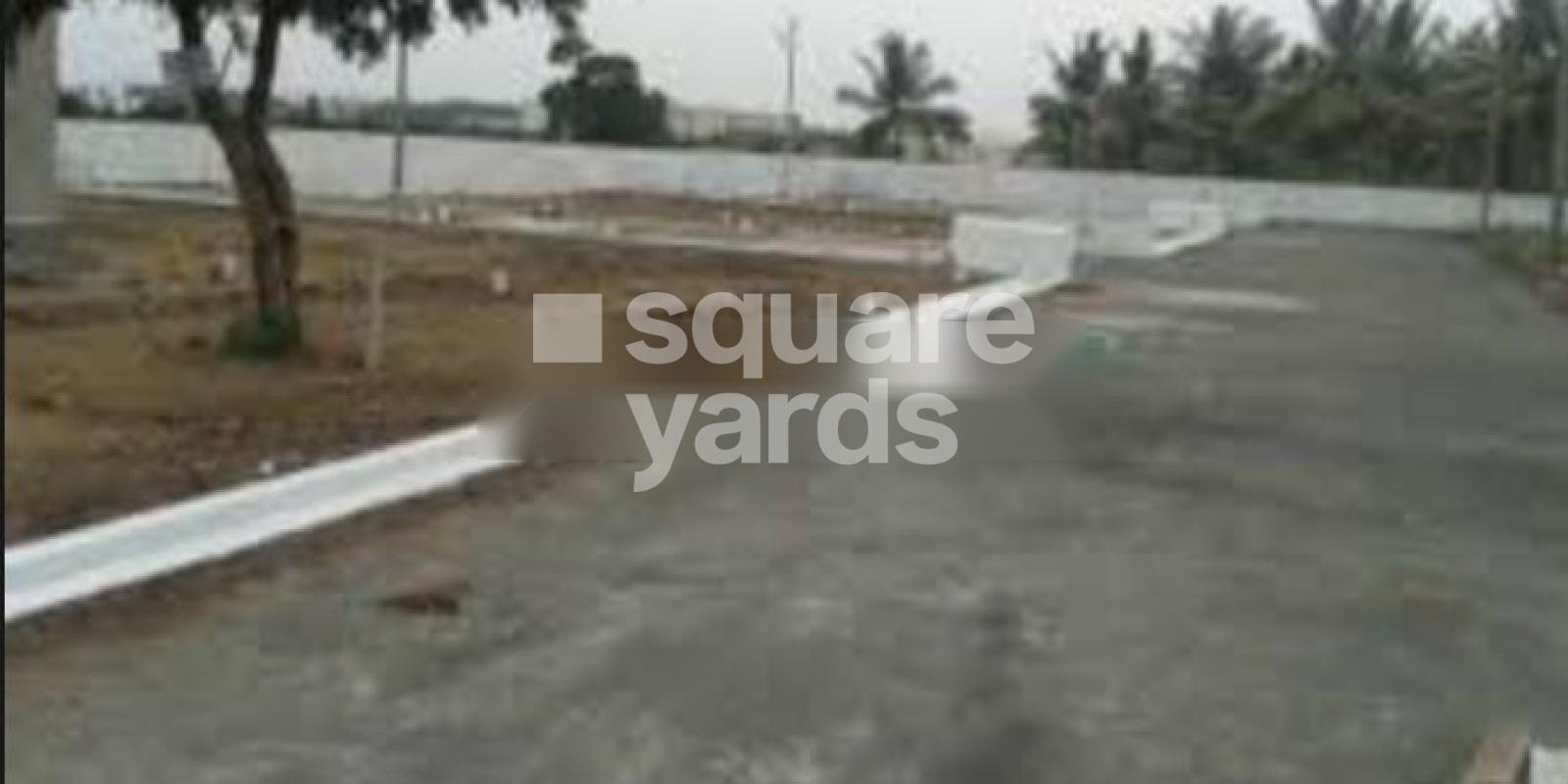 PRK Nest Featured Image