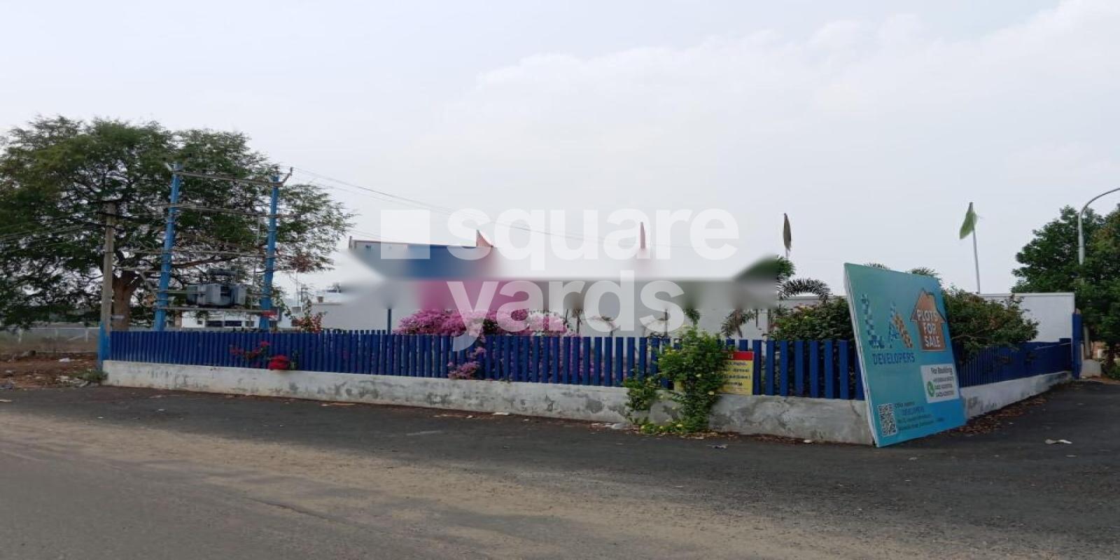 RR Daisy Garden Featured Image