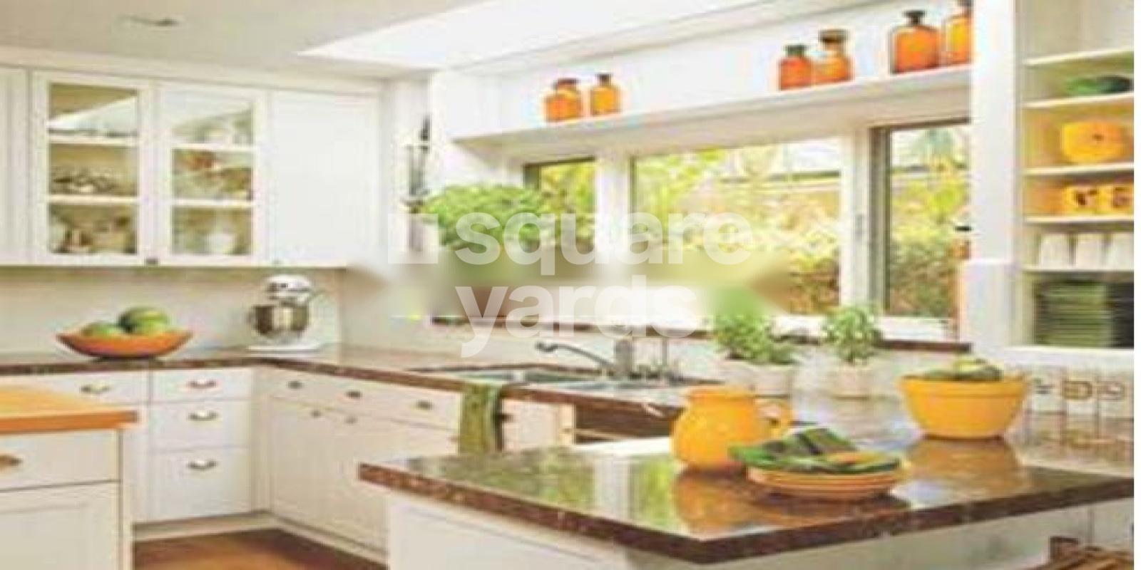 Saffrons Tulsi Featured Image