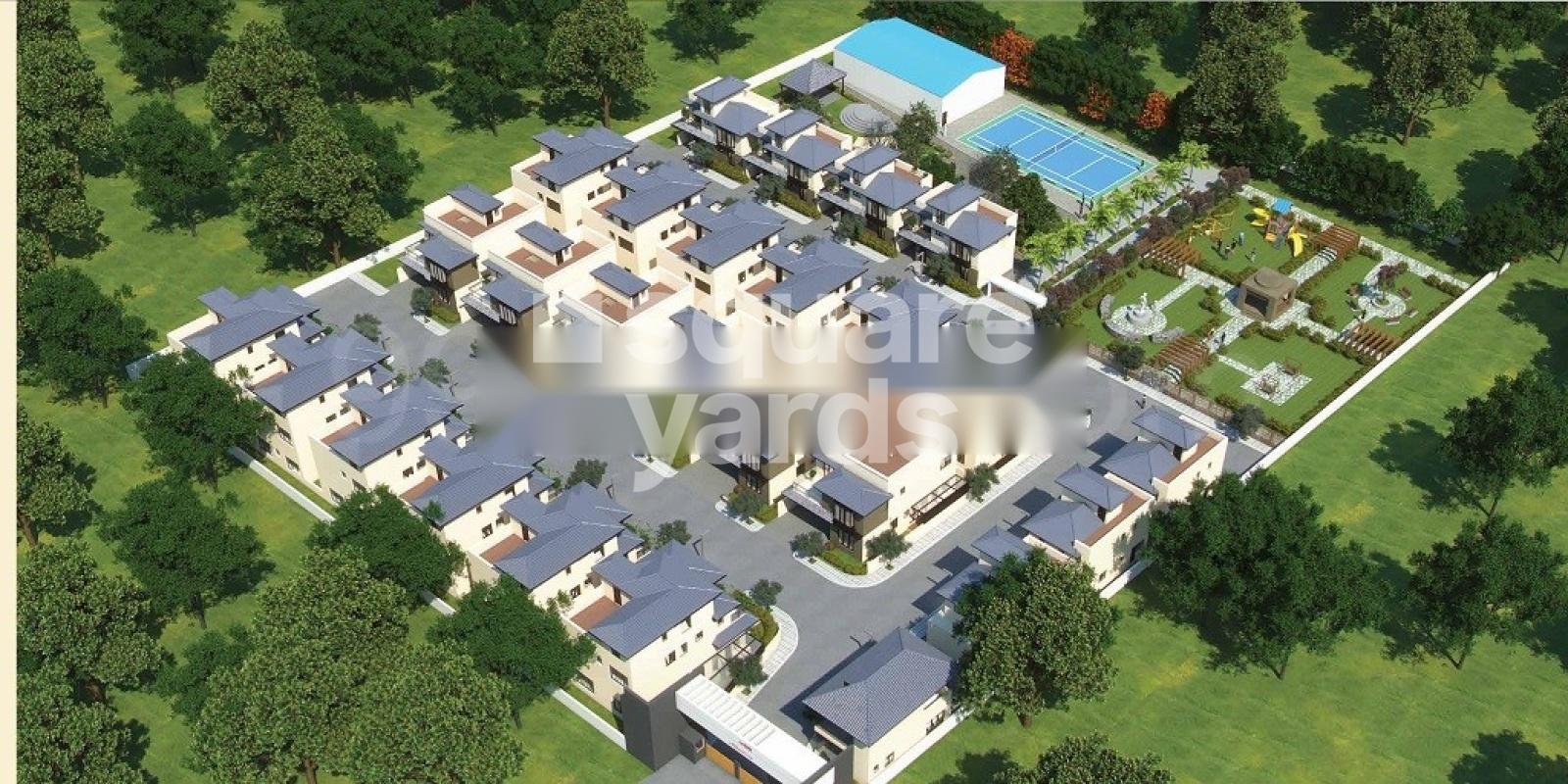 Sanbrix Kingsberry Featured Image