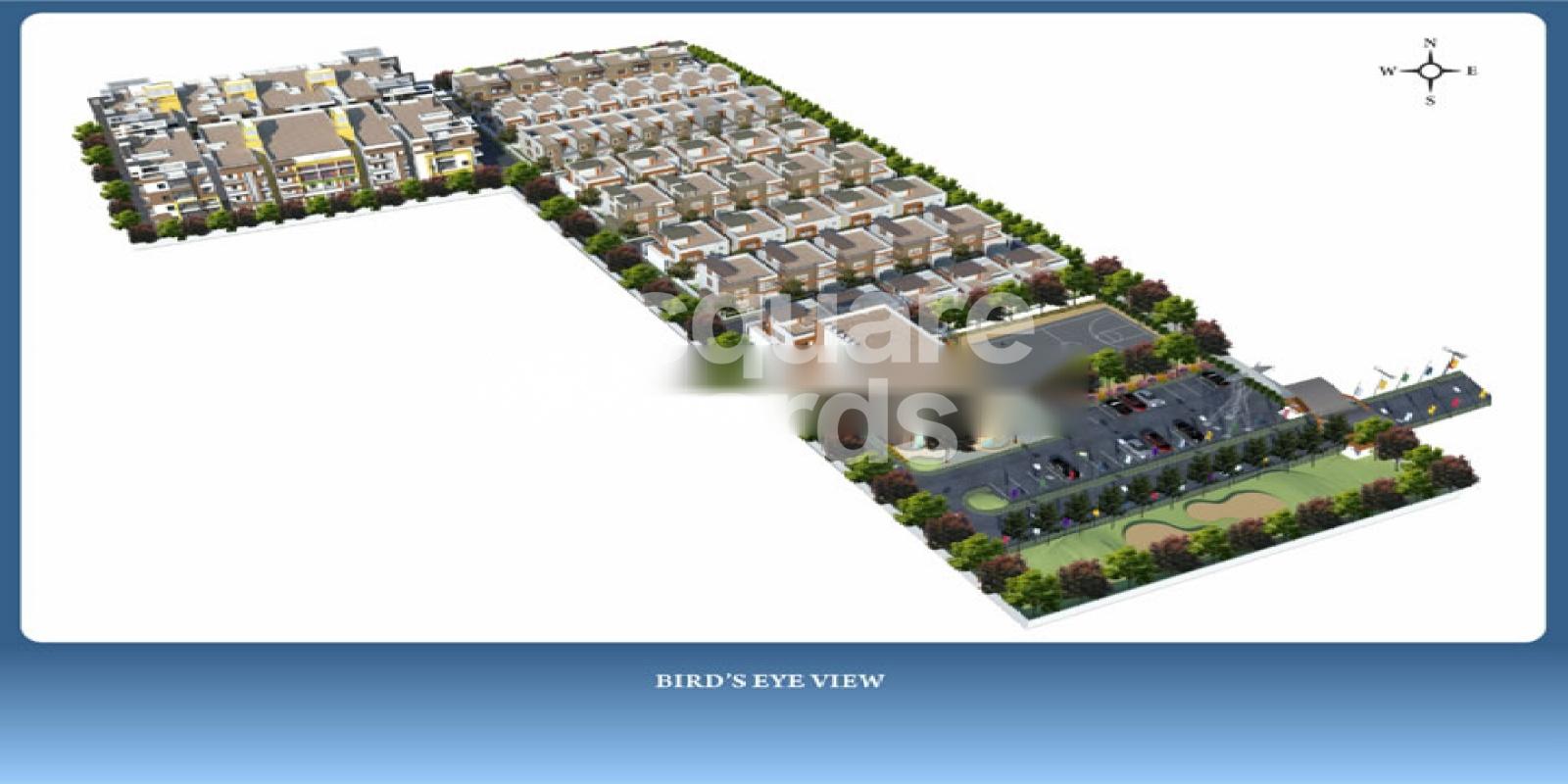 Springfield Infonest Featured Image