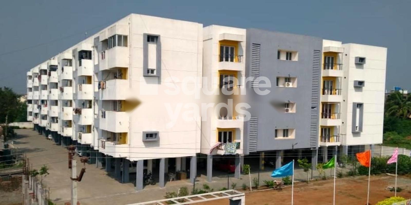 Sunrise Harmony Featured Image