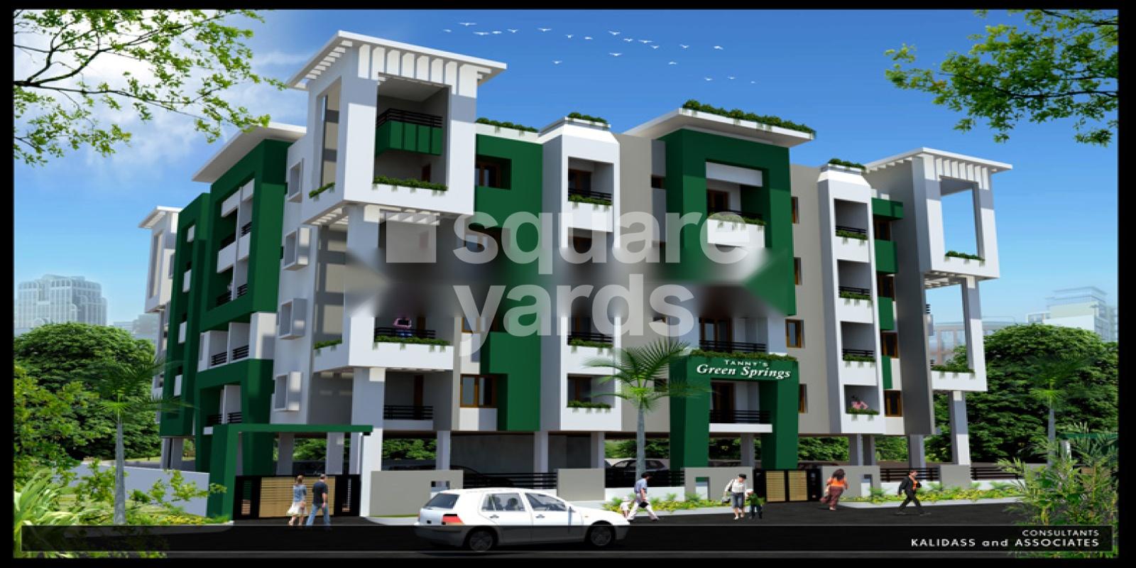 Tannys Green Springs