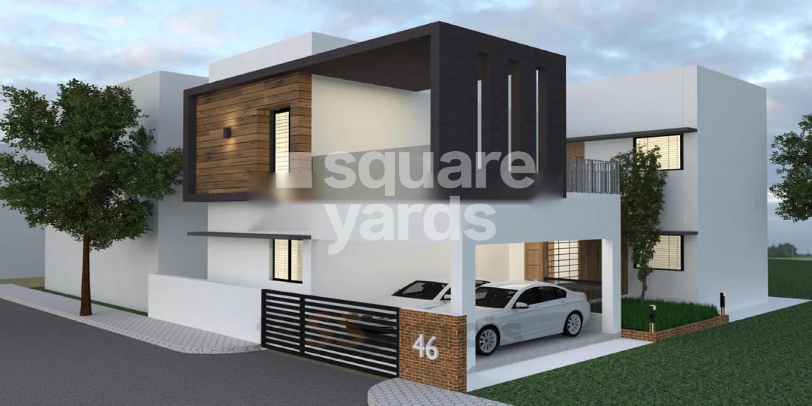 Terrain Auroral Bliss