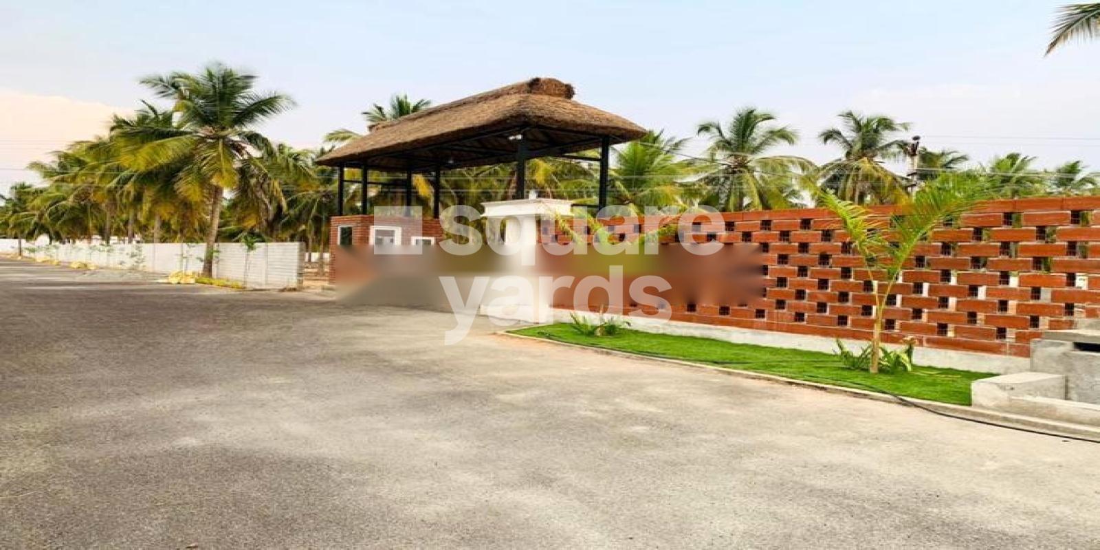 The Signature Palms Featured Image