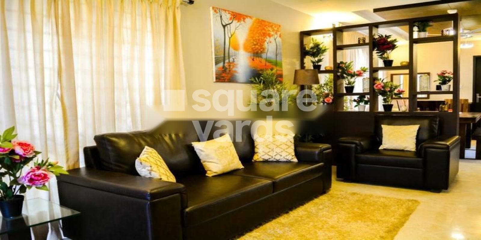 Trisquare Tara Featured Image