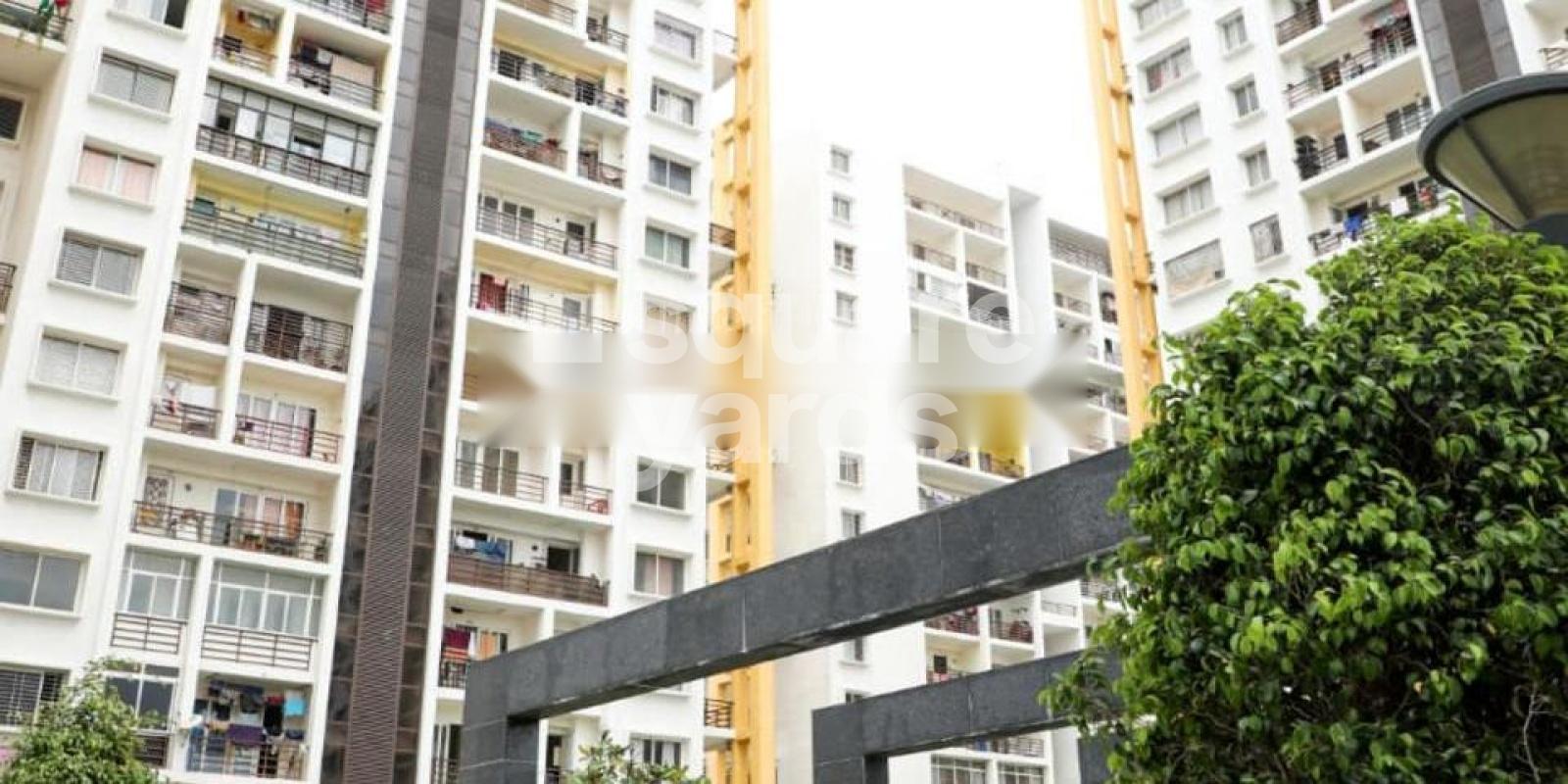 TVH Vista Heights