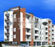 Vijaydeepas KTVR Olive Grace
