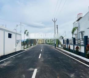 Amaze Avenue