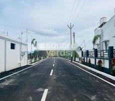 Amaze Avenue Featured Image