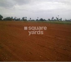 Arshi Hillview Garden Featured Image