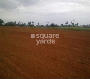 Arshi Hillview Garden Featured Image