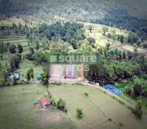 Blissful Hills Featured Image