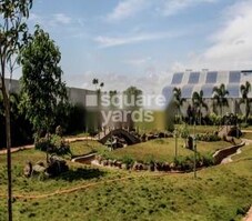 Dhanaas Vrikshaa Featured Image