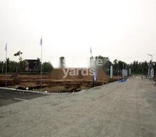 G Square Springfields Featured Image