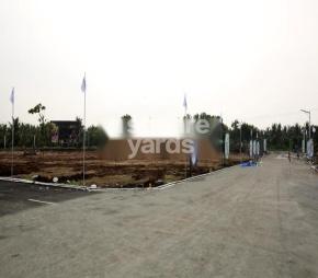 G Square Springfields