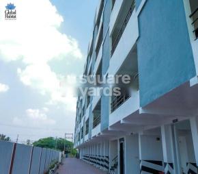 Global Carnation Featured Image