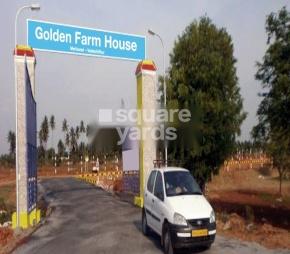 Golden Farm House residential project in Mettuvavi