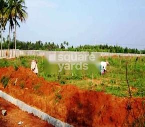 Government Employees Colony