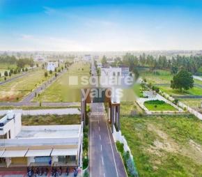 Green Field Fairland