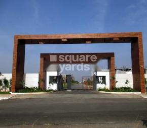 Green field Nandhavanam