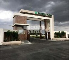 Green Field Platina Featured Image