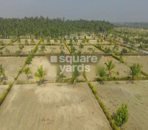 Green Fields