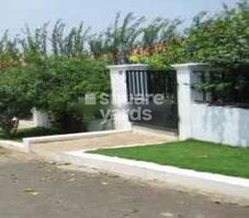 Green Home Western Welsh Featured Image