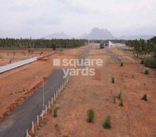 Green Meadows Featured Image