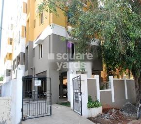 Haven Star Featured Image