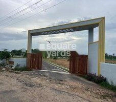 Honeybee Avenue Featured Image