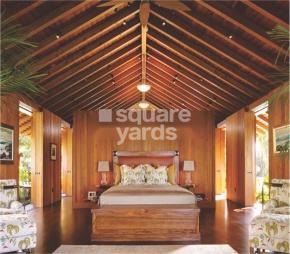 Iris The Ayurville Featured Image