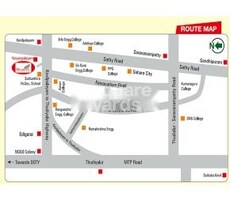 KR Meadows Avenue Featured Image