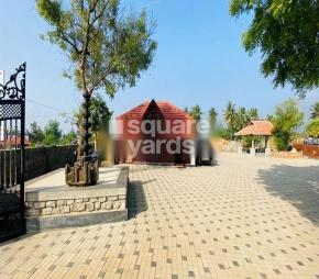 Krishi Farms Featured Image