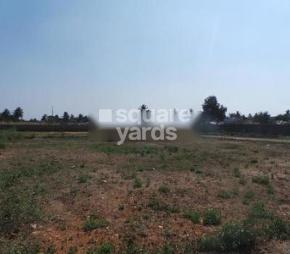 Krishna Colony Garden Featured Image