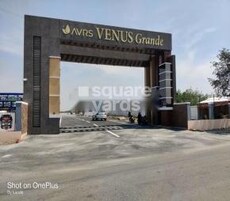 KS Avrs Venus Grande Featured Image