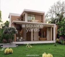 Limestone Humming Bird Featured Image