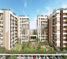 Mayflower Emerald Featured Image