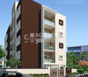 Noble Star Featured Image