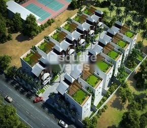 Norweez Tameva Perks