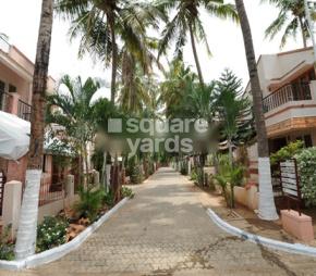 Parsn Palm Legend