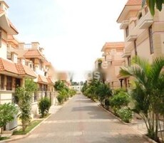 Parsns Palm Gazebo Featured Image