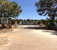 PNR Palm Lake Featured Image