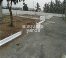 PRK Nest Featured Image